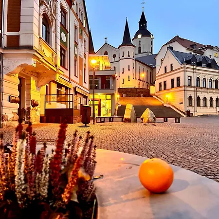 Apartment Meerane Zentrum