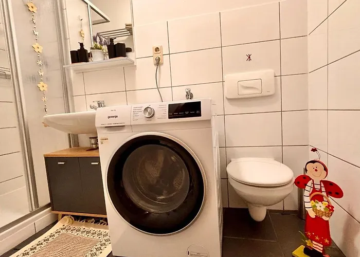 Apartment Meerane Zentrum